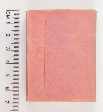 Plano posterior